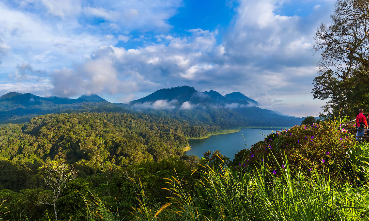 Taman Ayun – Rainforest Trekking & Canoeing