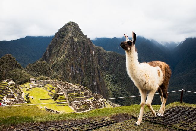 Sacred Valley - Machu Picchu - Cusco