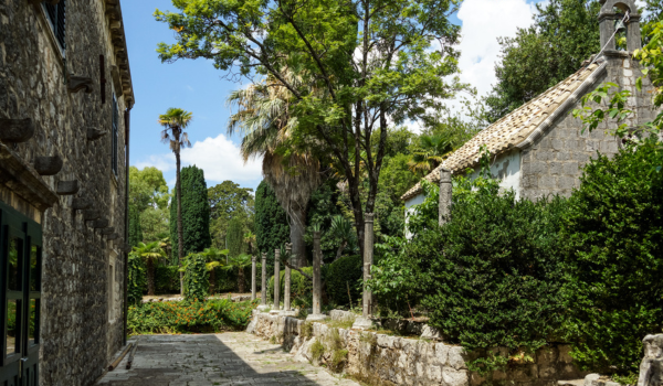 Tour of Trsteno Arboretum & Olive Oil Tastings