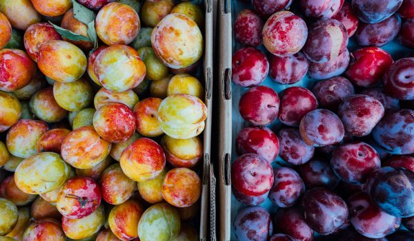 Loulé Market Visit