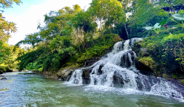 Jungle Rice Field Trekking With Waterfall Visit — Balinese Dance Class