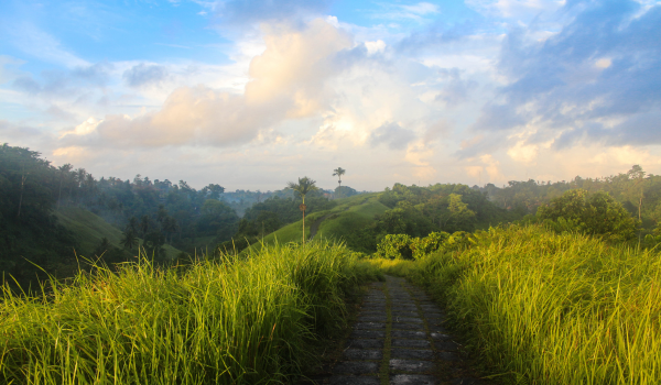 Morning Yoga — Day At Leisure