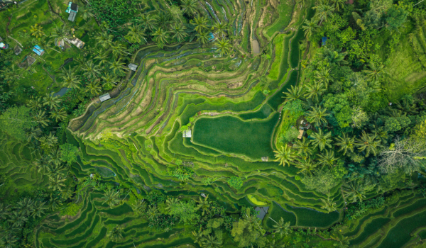 Ubud