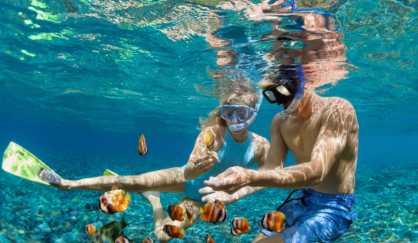 CATAMARAN & SNORKELING ADVENTURE CATAMARAN & SNORKELING ADVENTURE