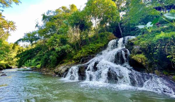 Jungle Rice Field Trekking With Waterfall Visit — Balinese Dance Class Jungle Rice Field Trekking With Waterfall Visit — Balinese Dance Class