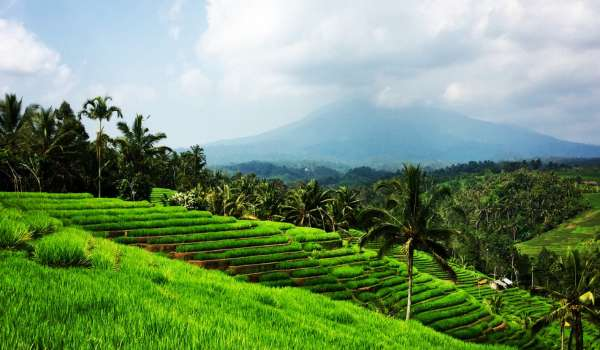 Cycling Through Bali’s Hidden Countryside Cycling Through Bali’s Hidden Countryside