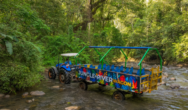 JUNGLE RIVER WAGON ADVENTURE JUNGLE RIVER WAGON ADVENTURE