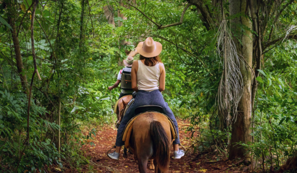 HORSEBACK RIDING TO WATERFALL HORSEBACK RIDING TO WATERFALL
