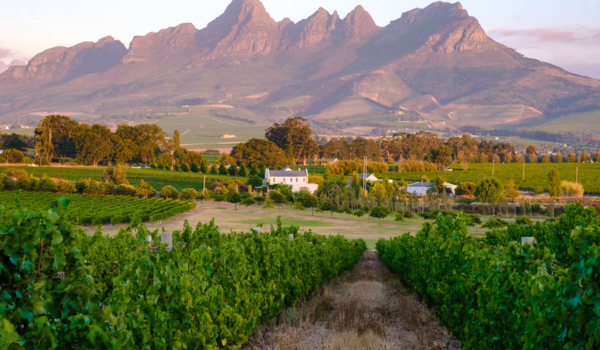 Cape Town - Stellenbosch Cape Town - Stellenbosch