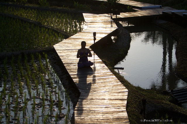 Leisure Day in Chiang Mai Leisure Day in Chiang Mai