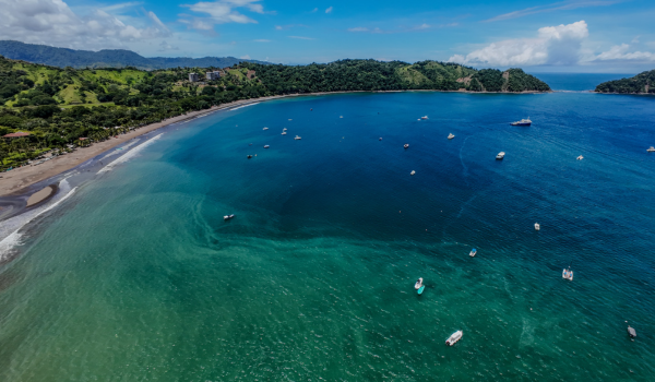 COFFEE TASTING & DAY AT LEISURE