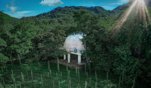 La Senda Farm Experience