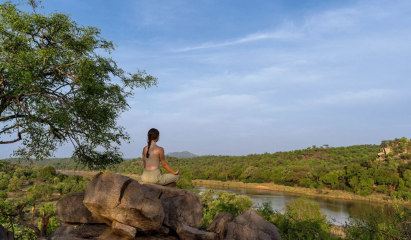 Sashwa River of Stars