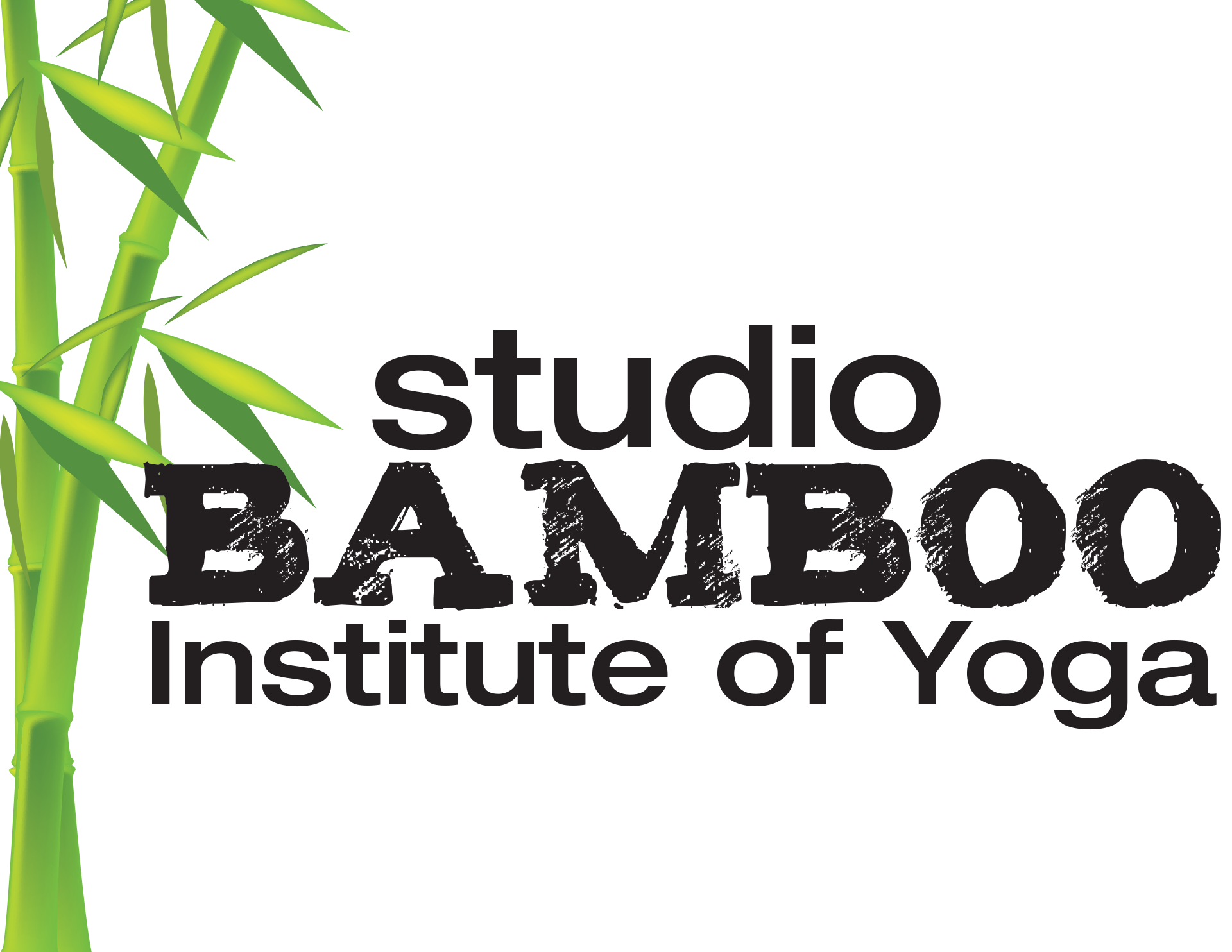 Ann Stevens/Studio Bamboo