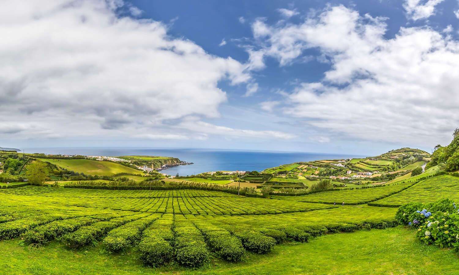 Wellness & Nature in The Azores