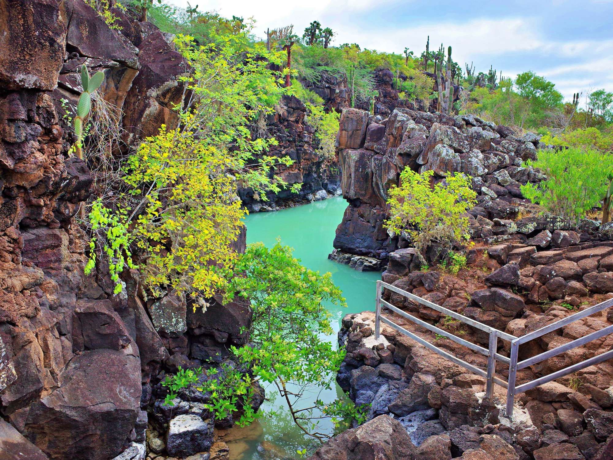 Wellness and Nature in the Galapagos