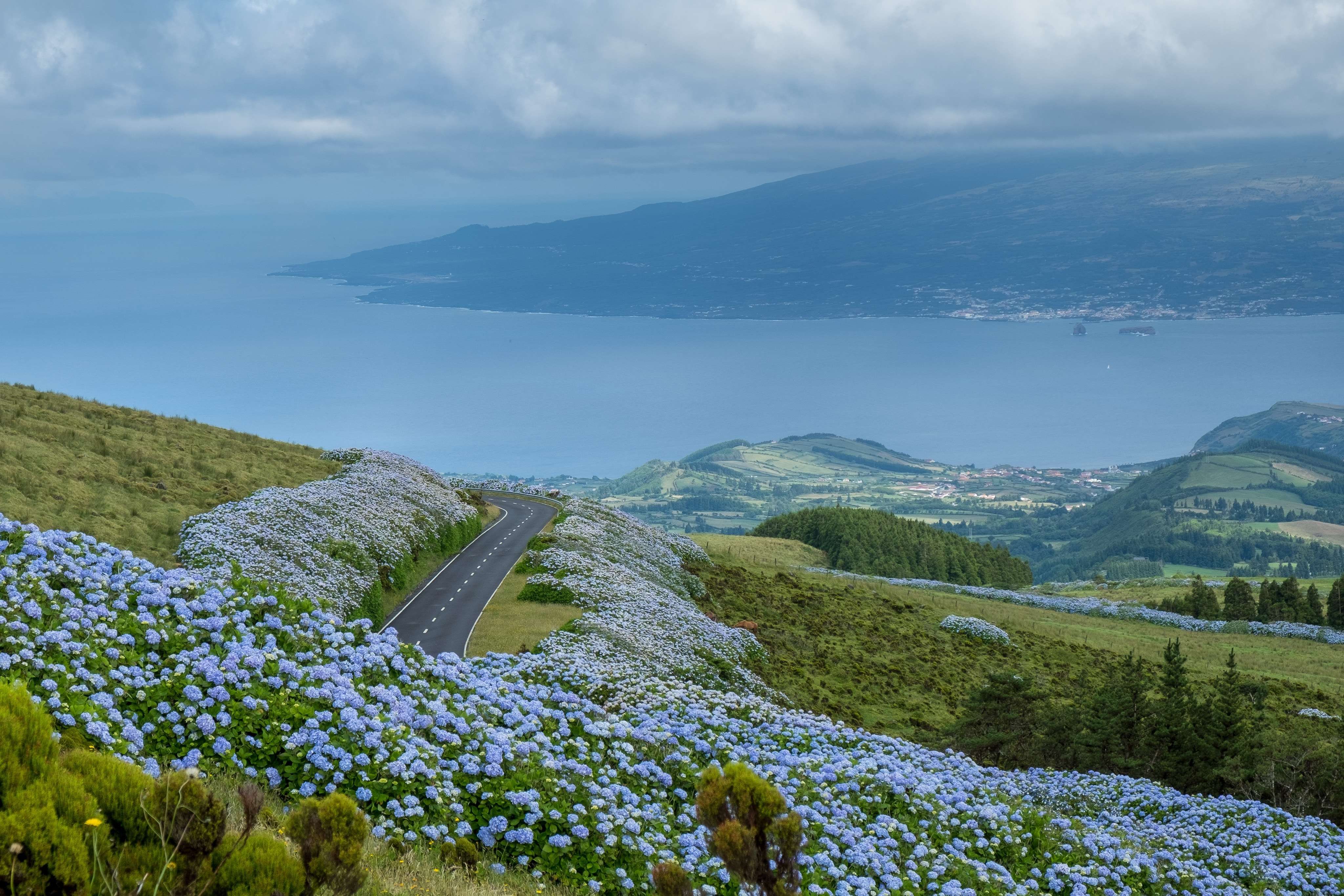 Wellness & Nature in The Azores
