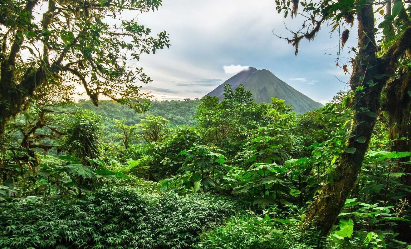 Costa Rica: Exploring Arenal Volcano & Manuel Antonio