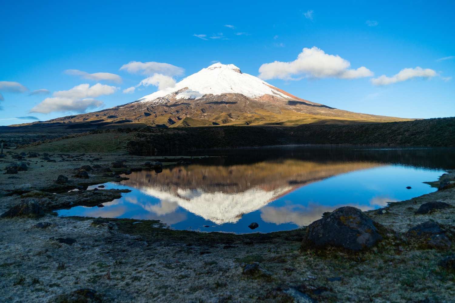 Discovering Ecuador’s Andes & Amazon