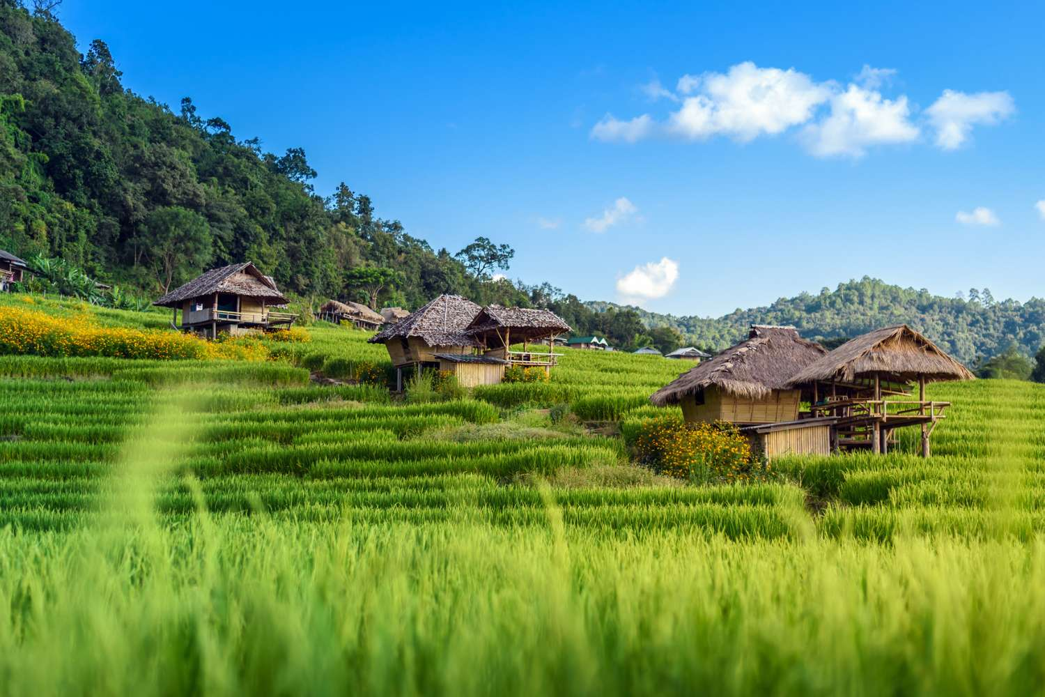 The Best of Northern Thailand - Wellness & Culture