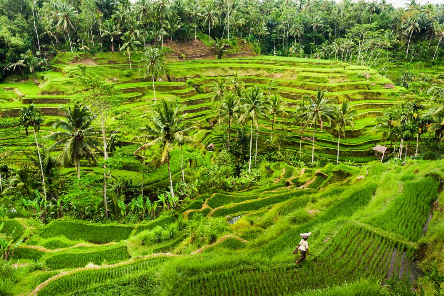 Bali Yoga, Culture & Beach Exploration