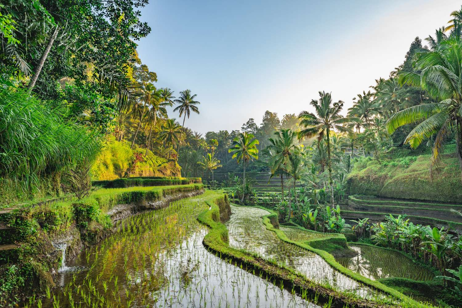 Bali Yoga, Culture & Beach Exploration