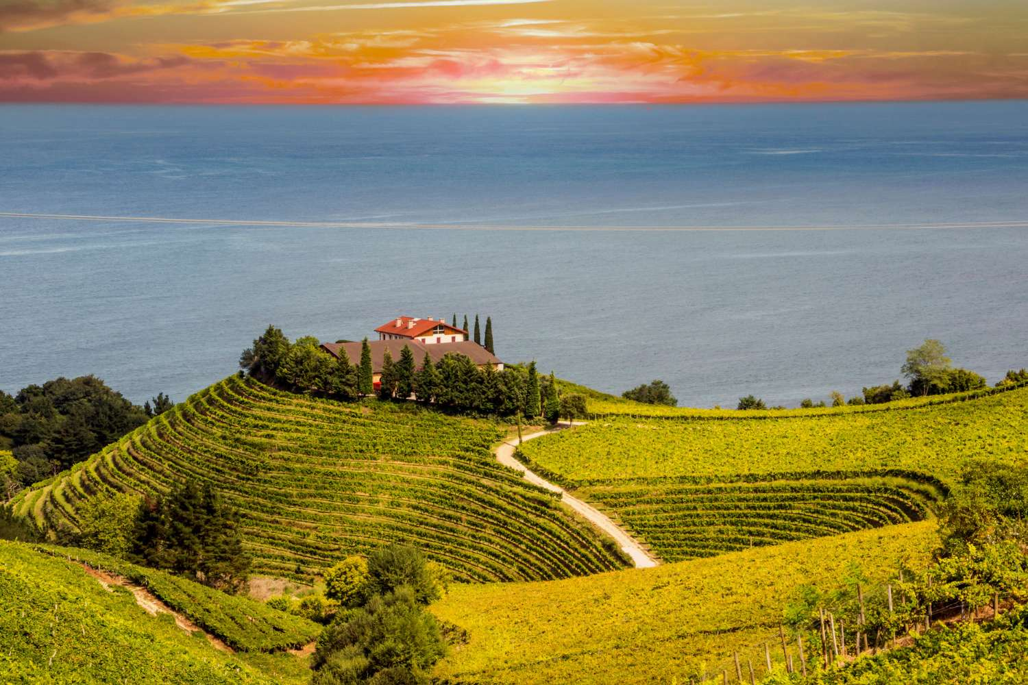 Wellness & Wonders of the Basque Country