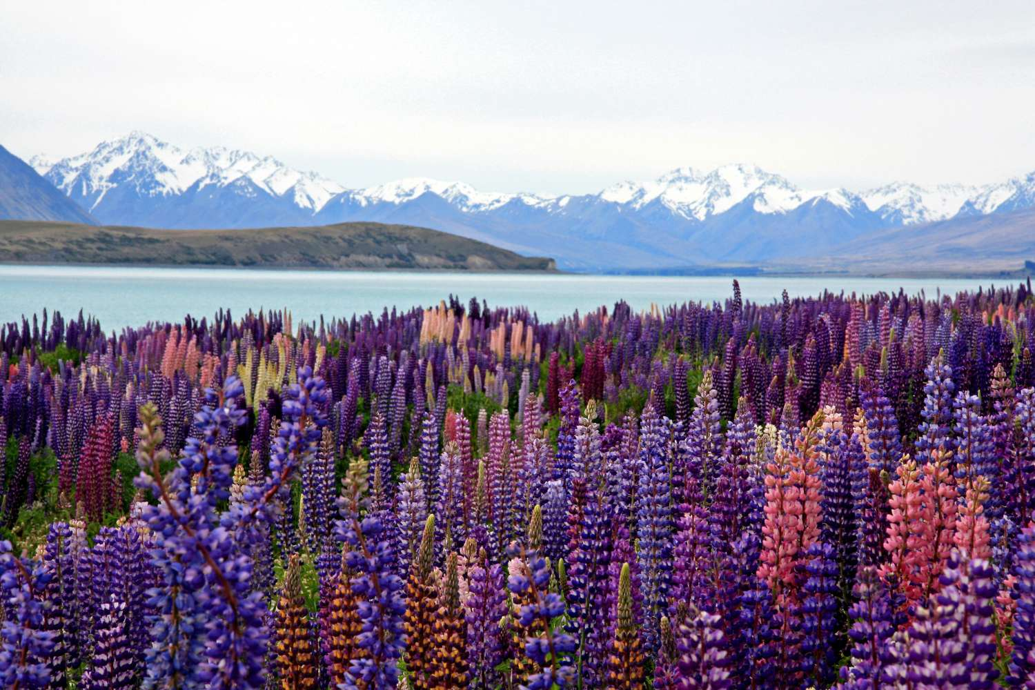 New Zealand: Adventure, Wellness & Wonder