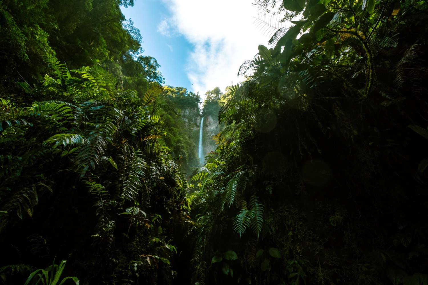 Costa Rica’s Pacific Coast: Nature, Culture & Serenity 