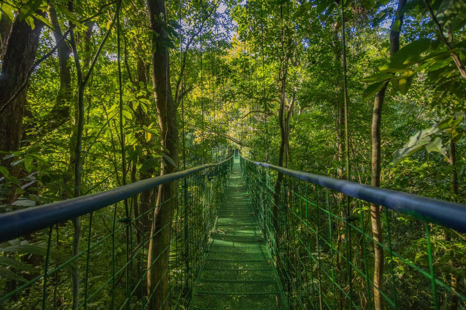 Revive & Thrive in Costa Rica with 2020FIT