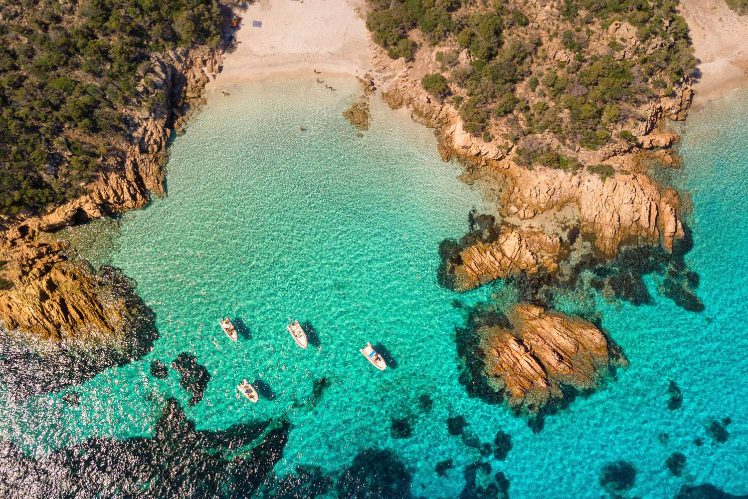Sardinia: Blue Zone & Coastal Exploration