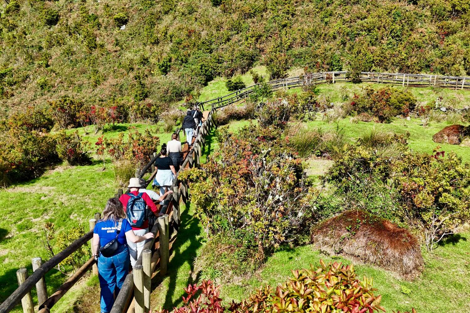 Azores: Elevated Wellness