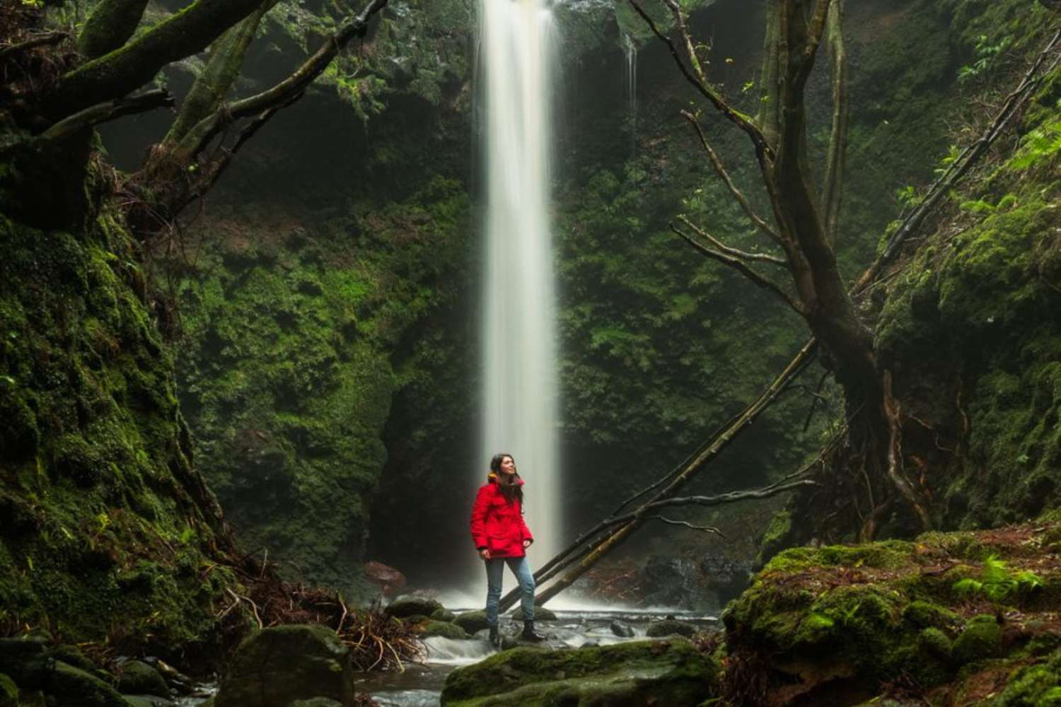 Azores: Elevated Wellness