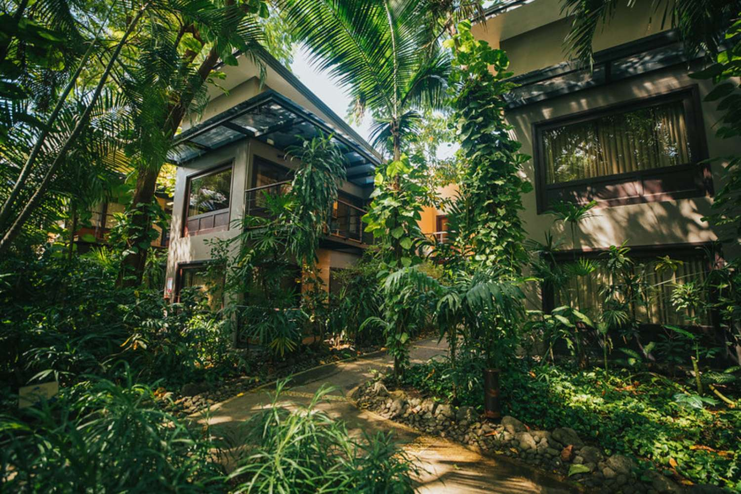 Costa Rica: Ocean & Jungle Reset