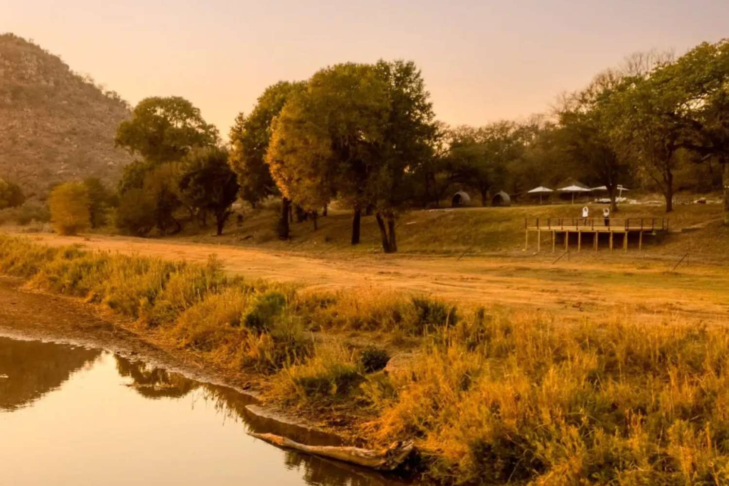 A Taste of South Africa