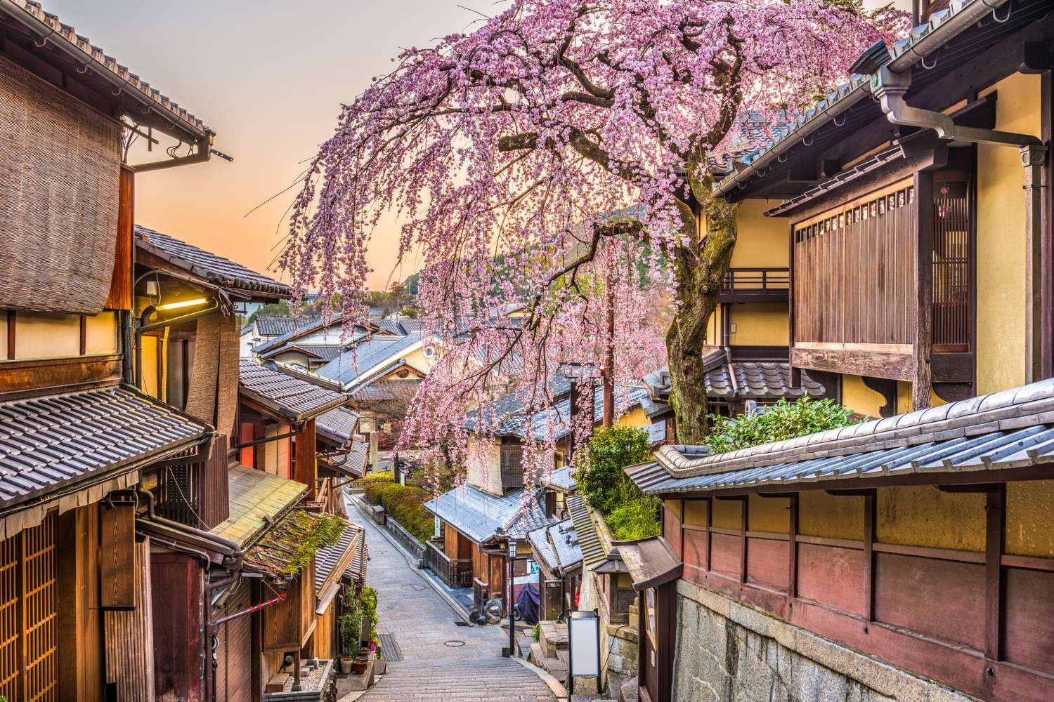 Japan: Coastal Calm & Ancient Kyoto